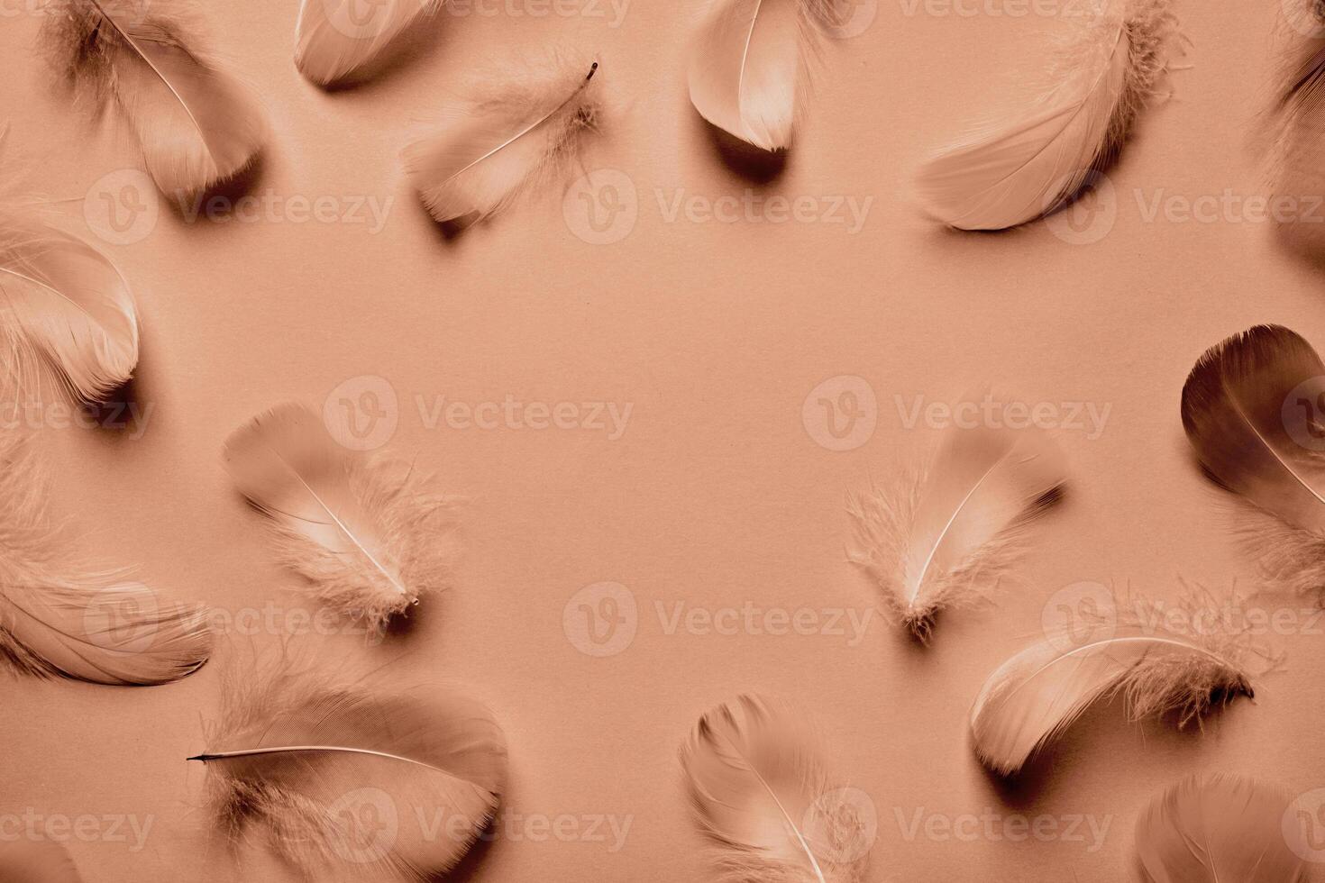 Abstract background with soft feathers in mocha mousse color photo