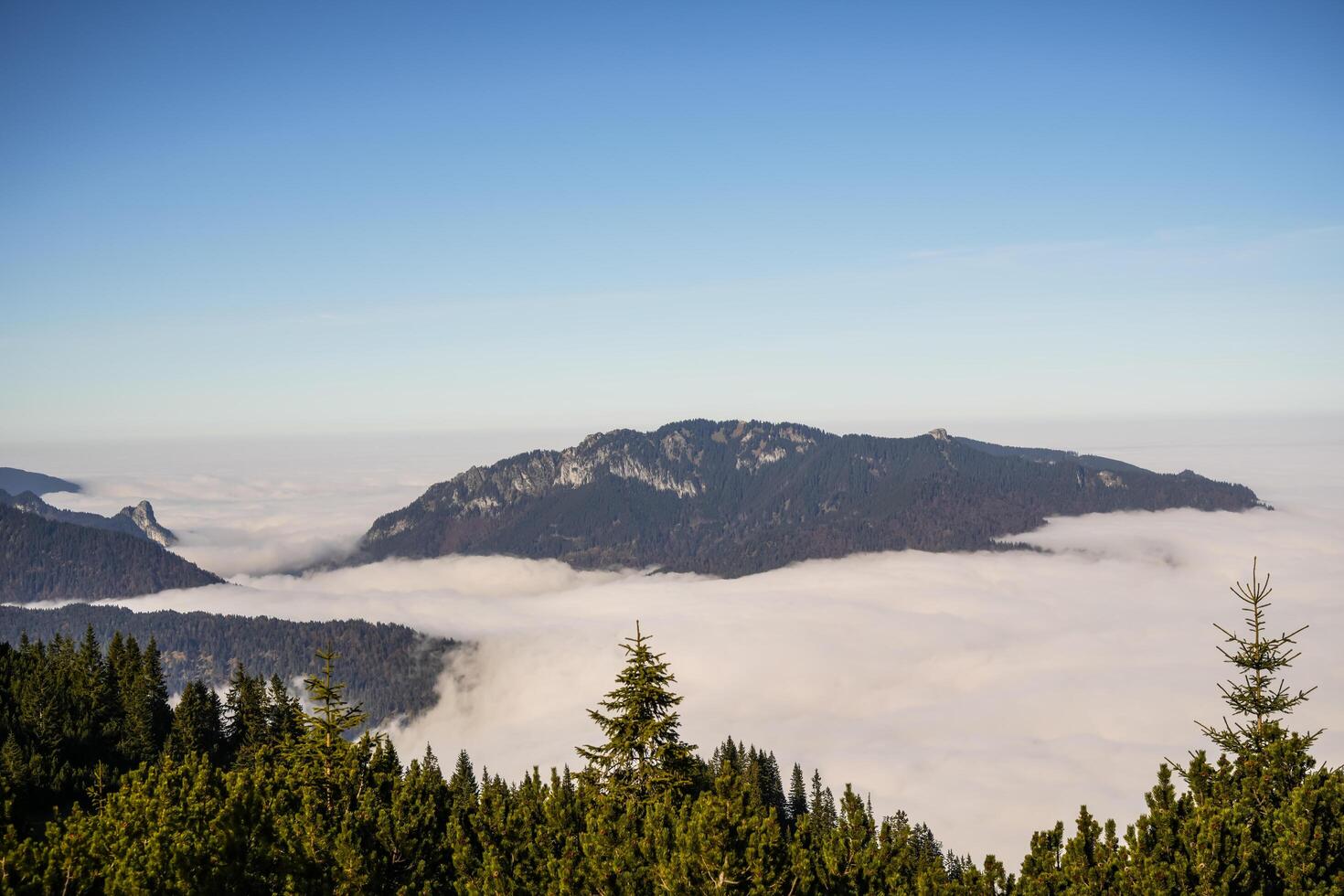 Fog in the German Alps around Garmisch-Partenkirchen, Bavaria photo