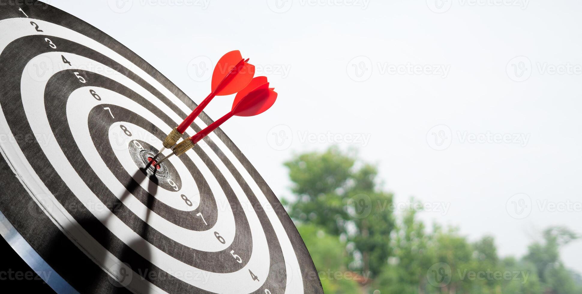 red dart on target with sky and tree background photo