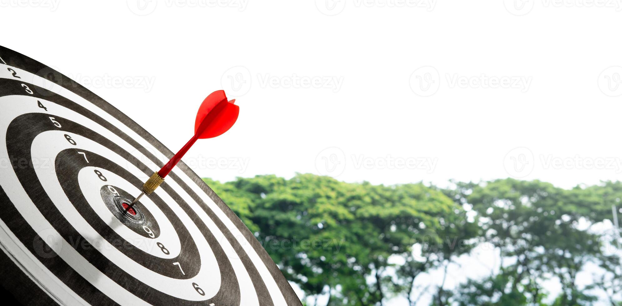 red dart with target on tree background for copy space photo