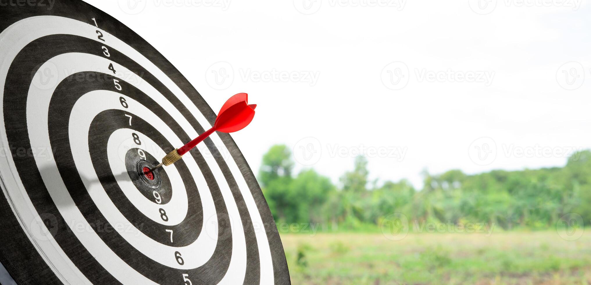 target board with dart on playing field background photo