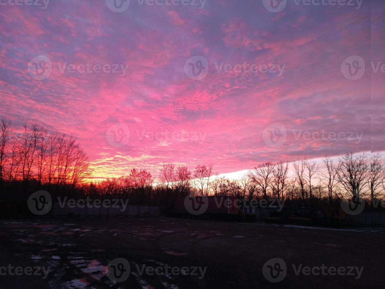 red clouds and trees photo