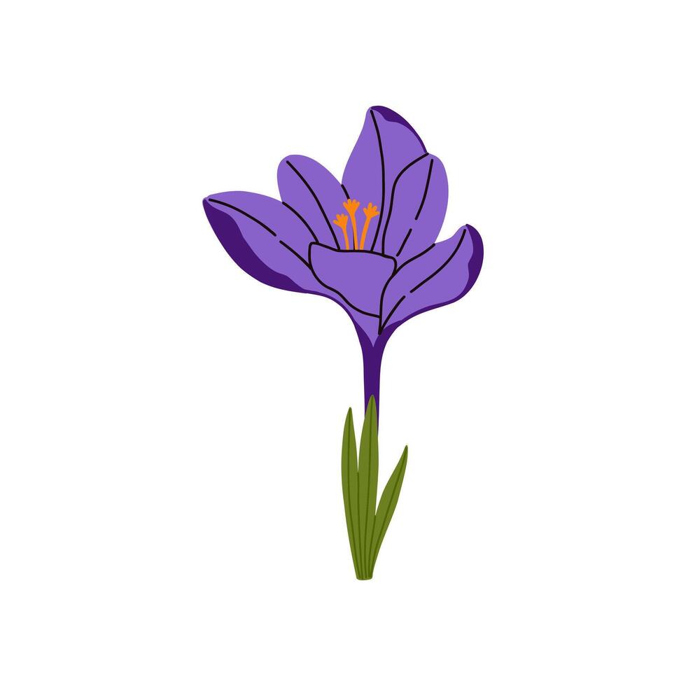 A purple flower with green leaves on a white background vector