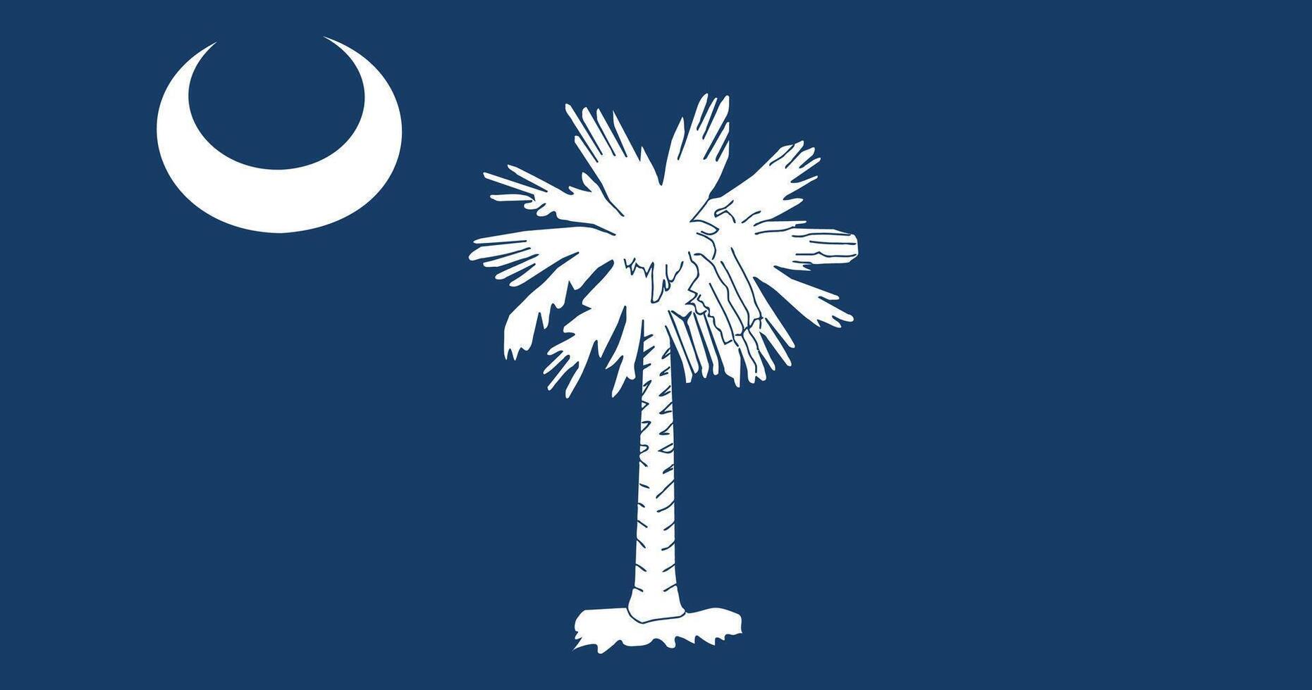 South Carolina 1861 1910 Flag Illustration Premium Quality vector