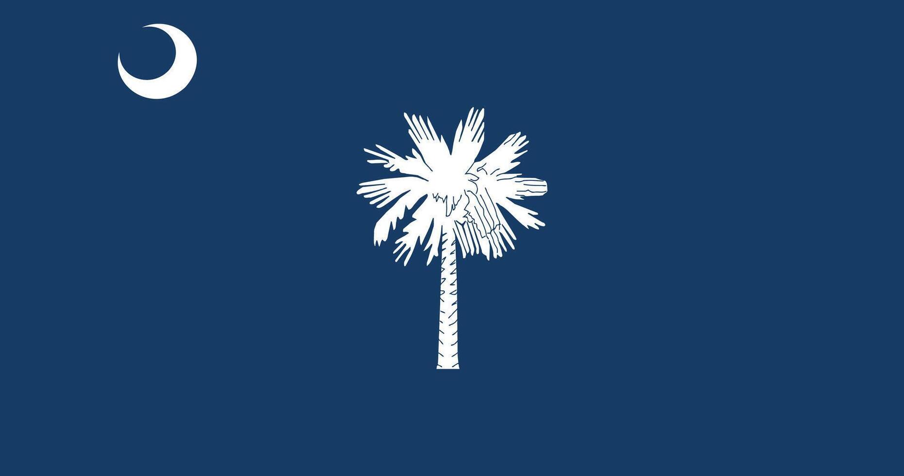 South Carolina 1910-1940 Flag Illustration Premium Quality vector