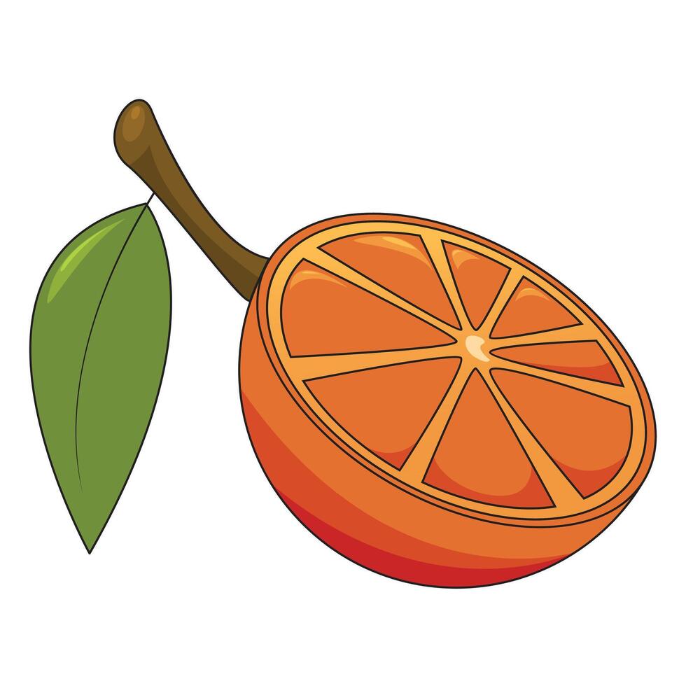Orange fruit slice to half with leaf illustration vector