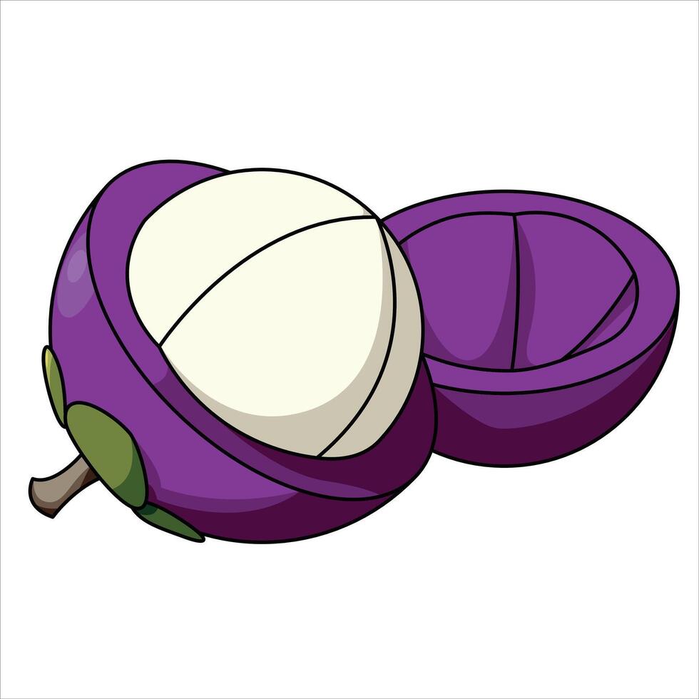 An illustration of a purple mangosteen vector
