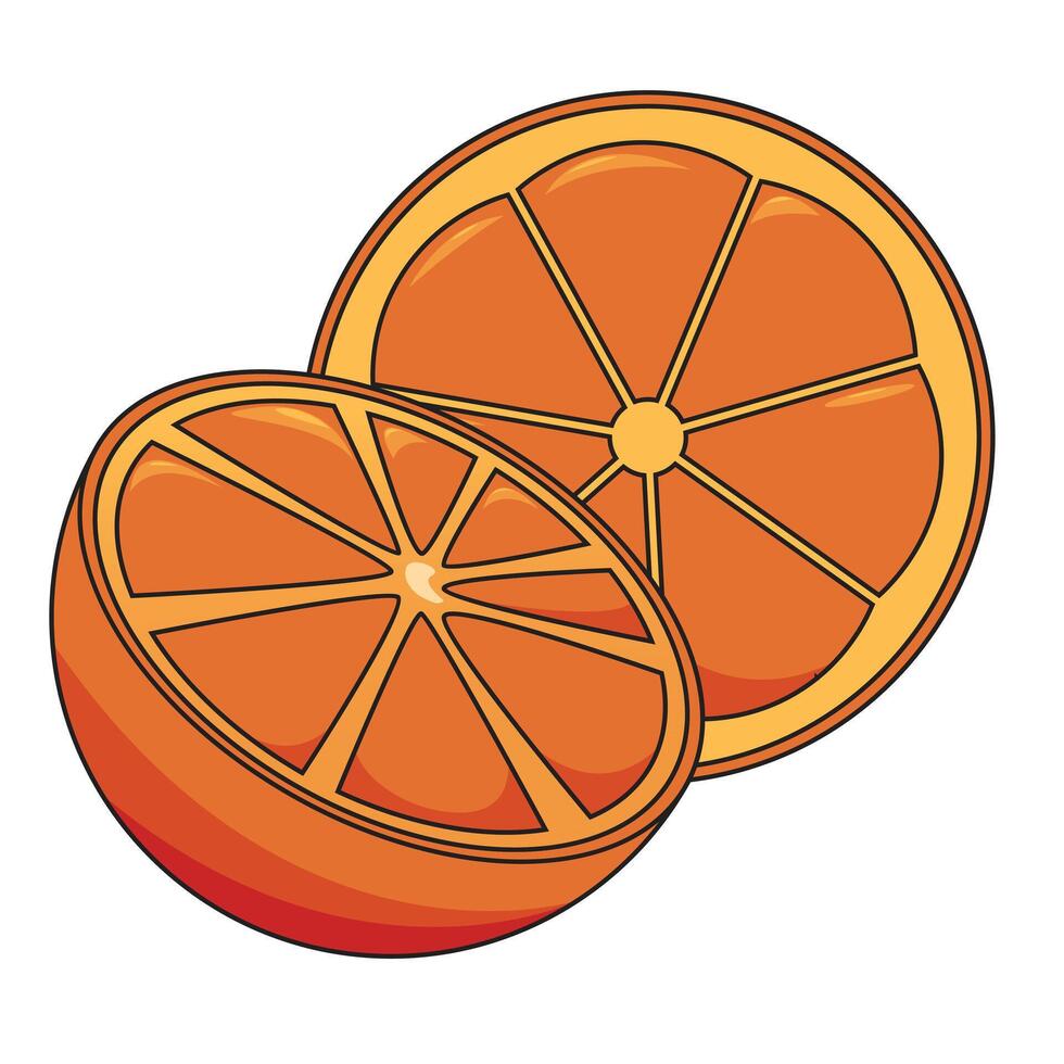 Orange slices illustration vector