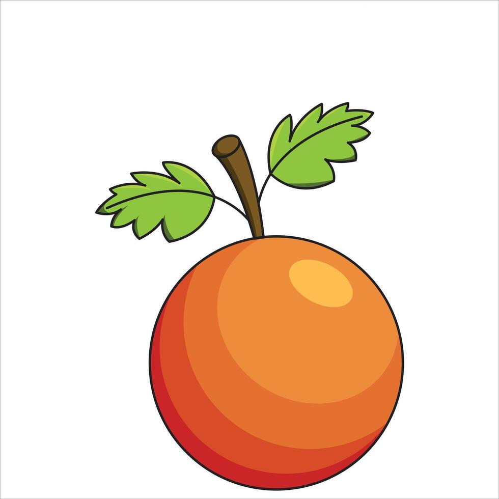 An orange with leaves on it is shown vector