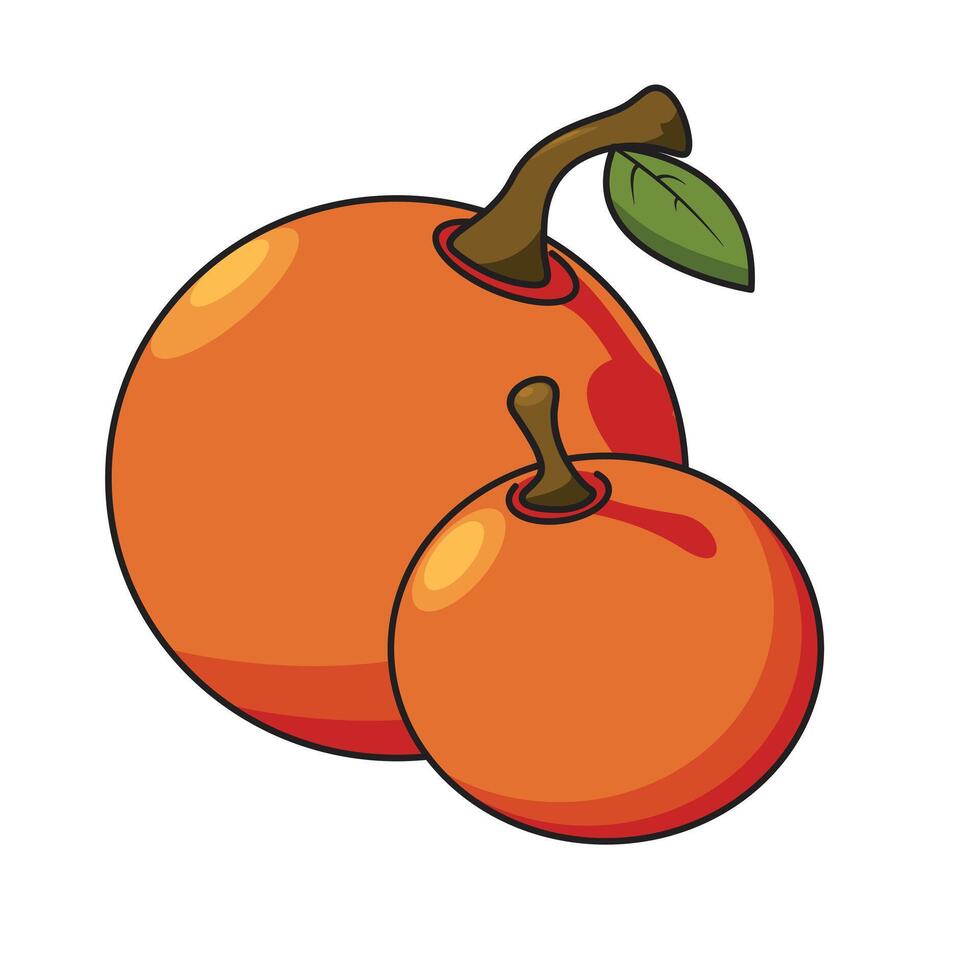 Orange fruit illustration vector
