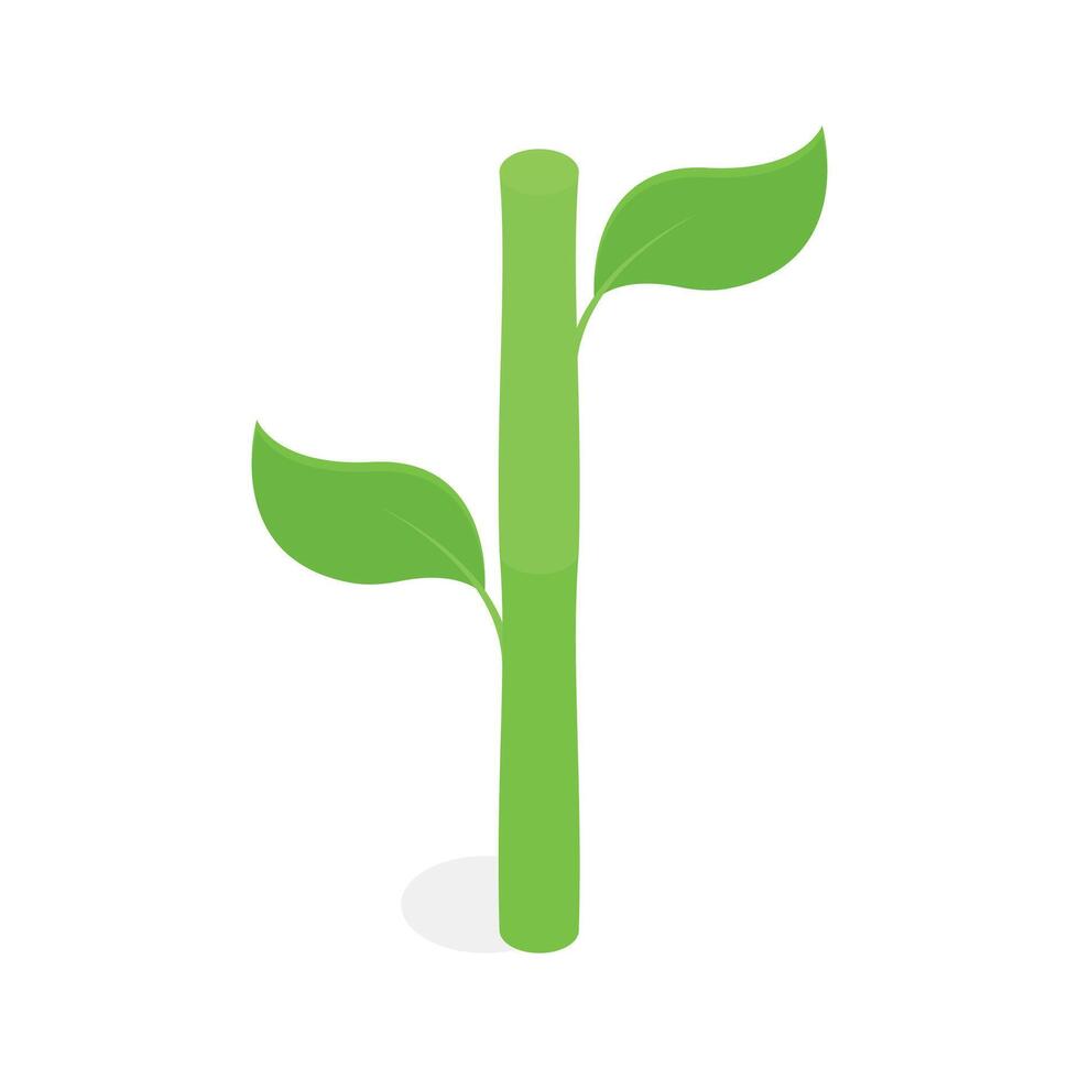 A stylized, isometric illustration of a plant stem with two leaves vector