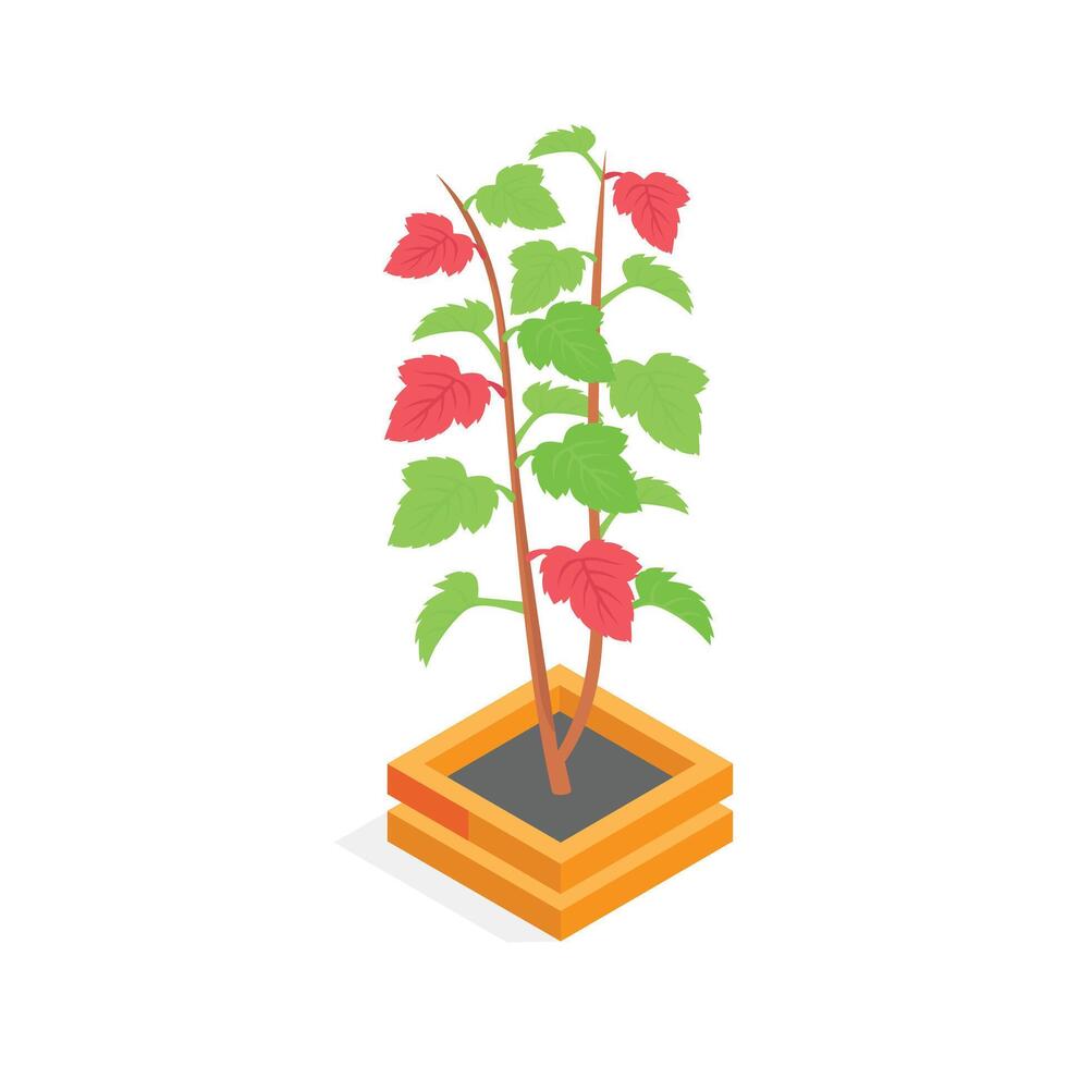 A vibrant green houseplant in a pot, presented in an isometric style ,.', vector
