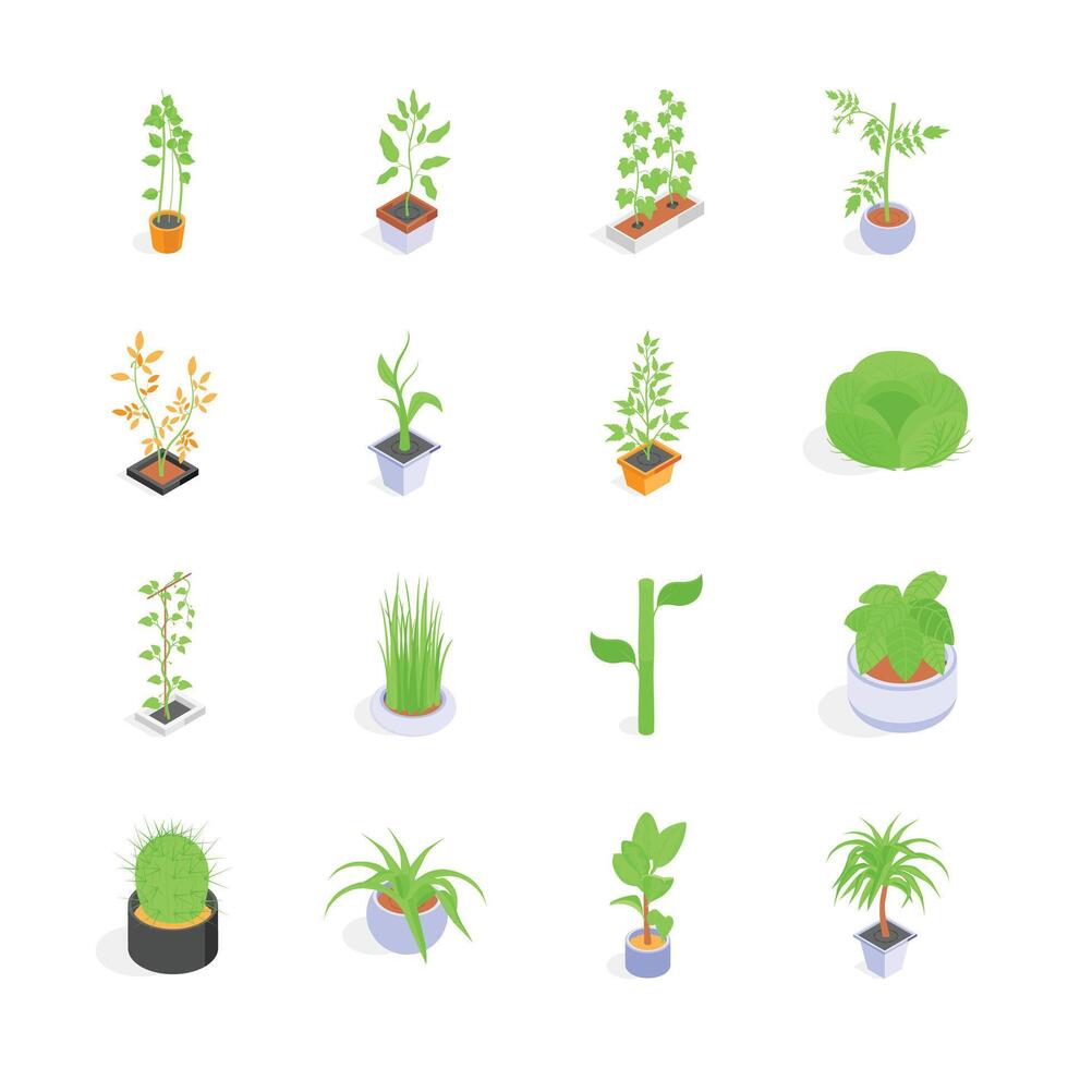 Take a look at this amazing indoor plants isometric icons in trendy design style vector