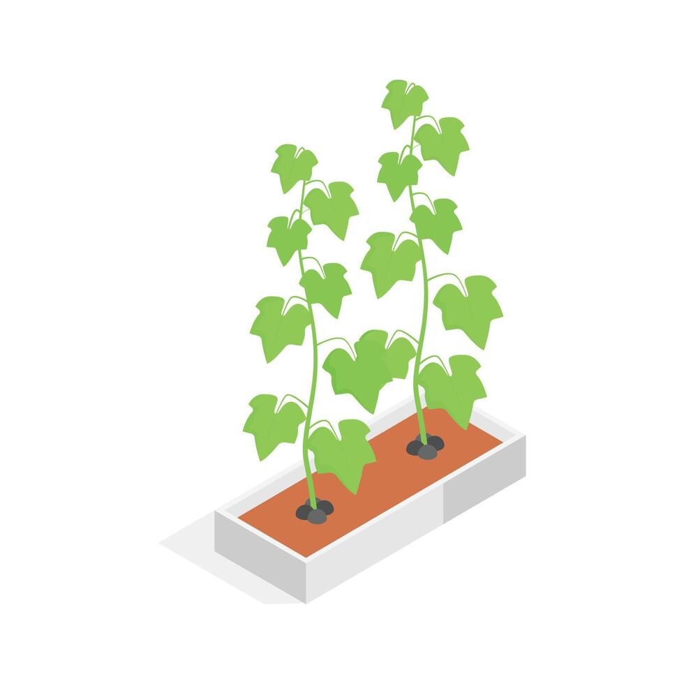 An eye catching isometric icon of a plant in a decorative, square planter. .', vector