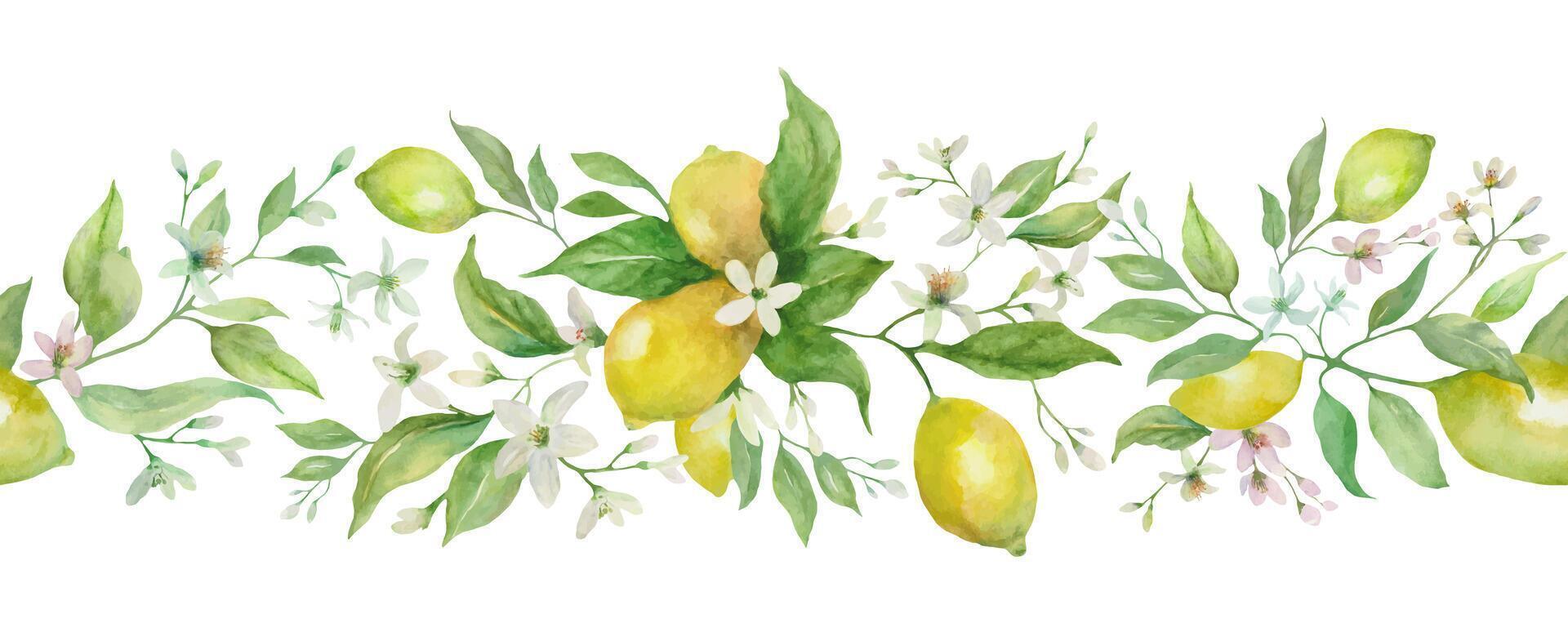 Seamless watercolor border with leaves, flowers, and lemon fruits. Hand-painted illustration. vector
