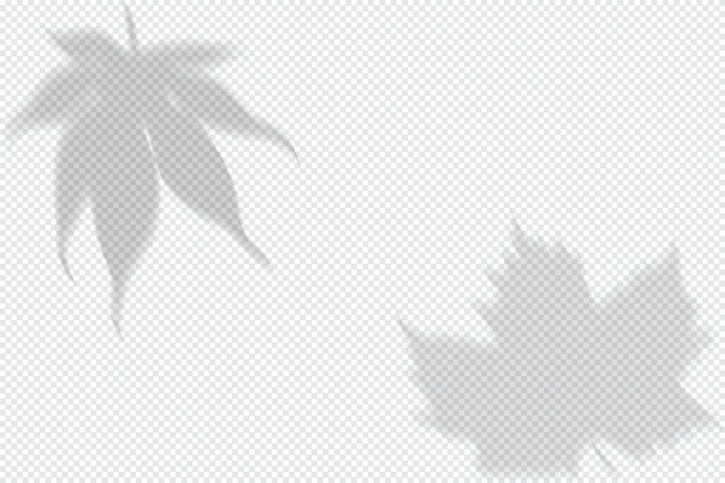 Mockup of a shadow overlay with collage elements vector