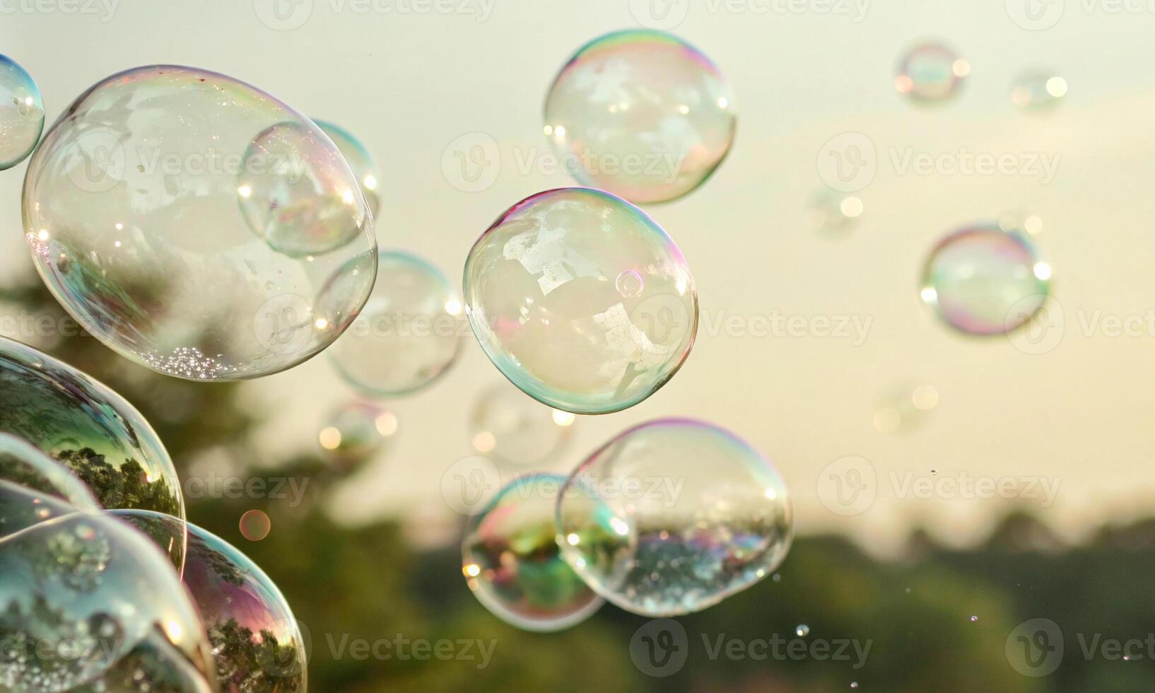 The flight of soap bubbles. the interaction of light, air and thin liquid films photo
