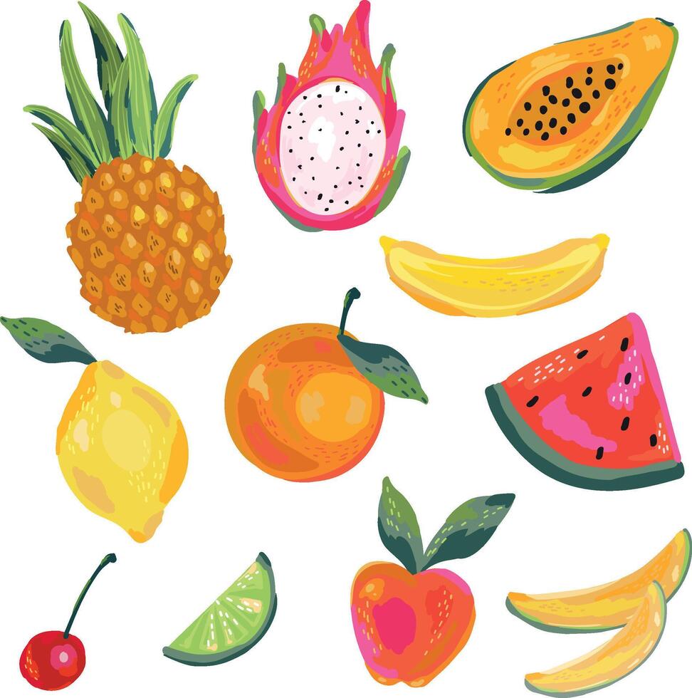 Set of elements, tropical citrus fruits vector