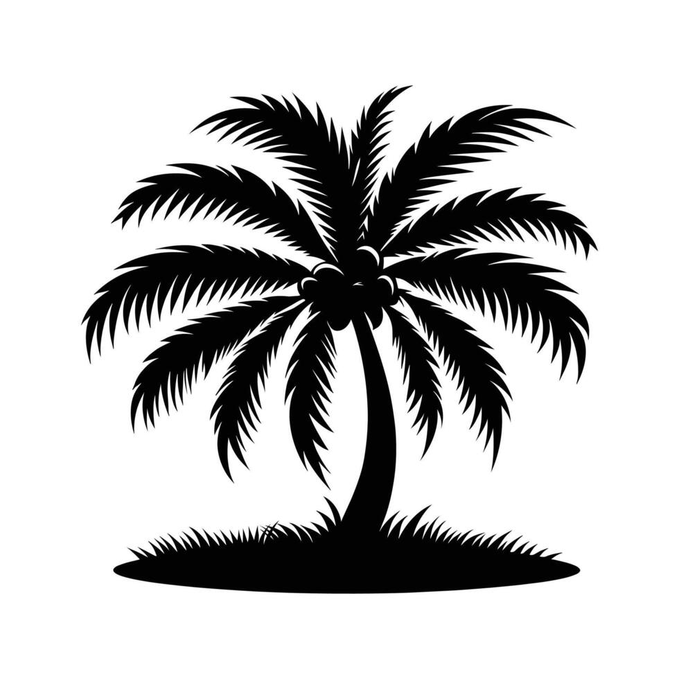 A big palm tree silhouette on white background vector