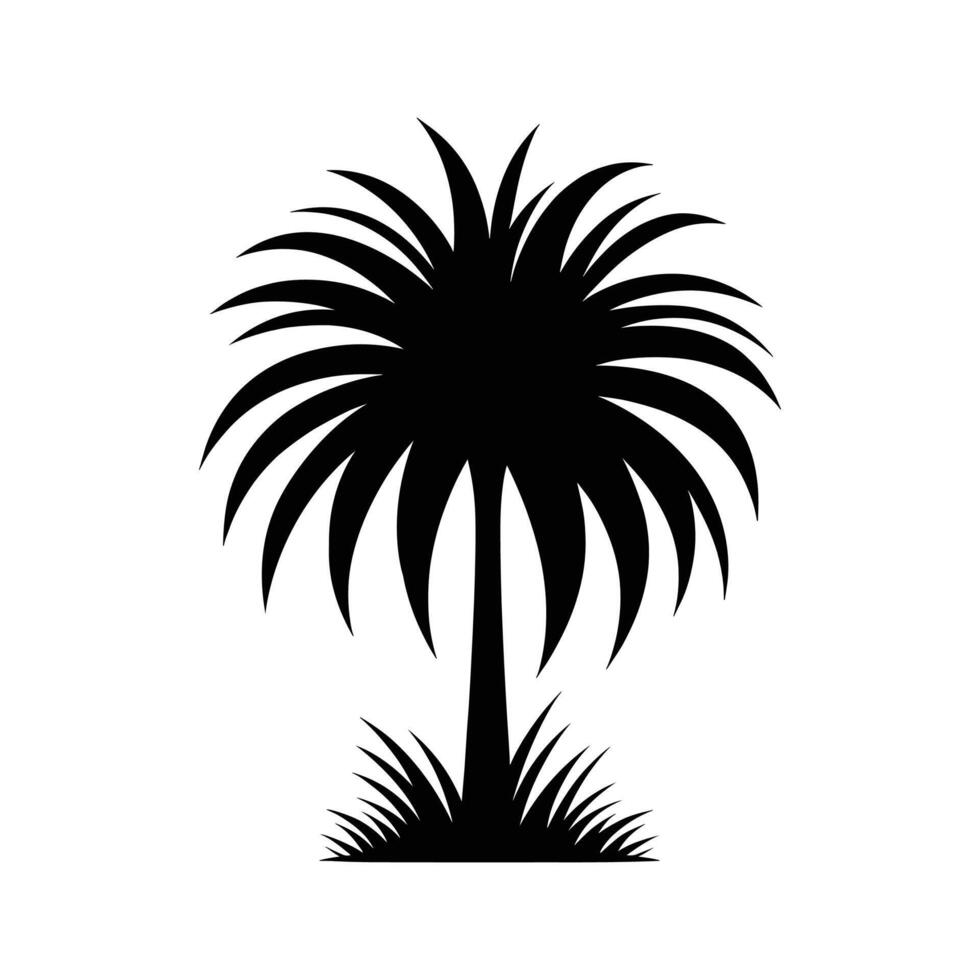 A palm tree silhouette on white background vector