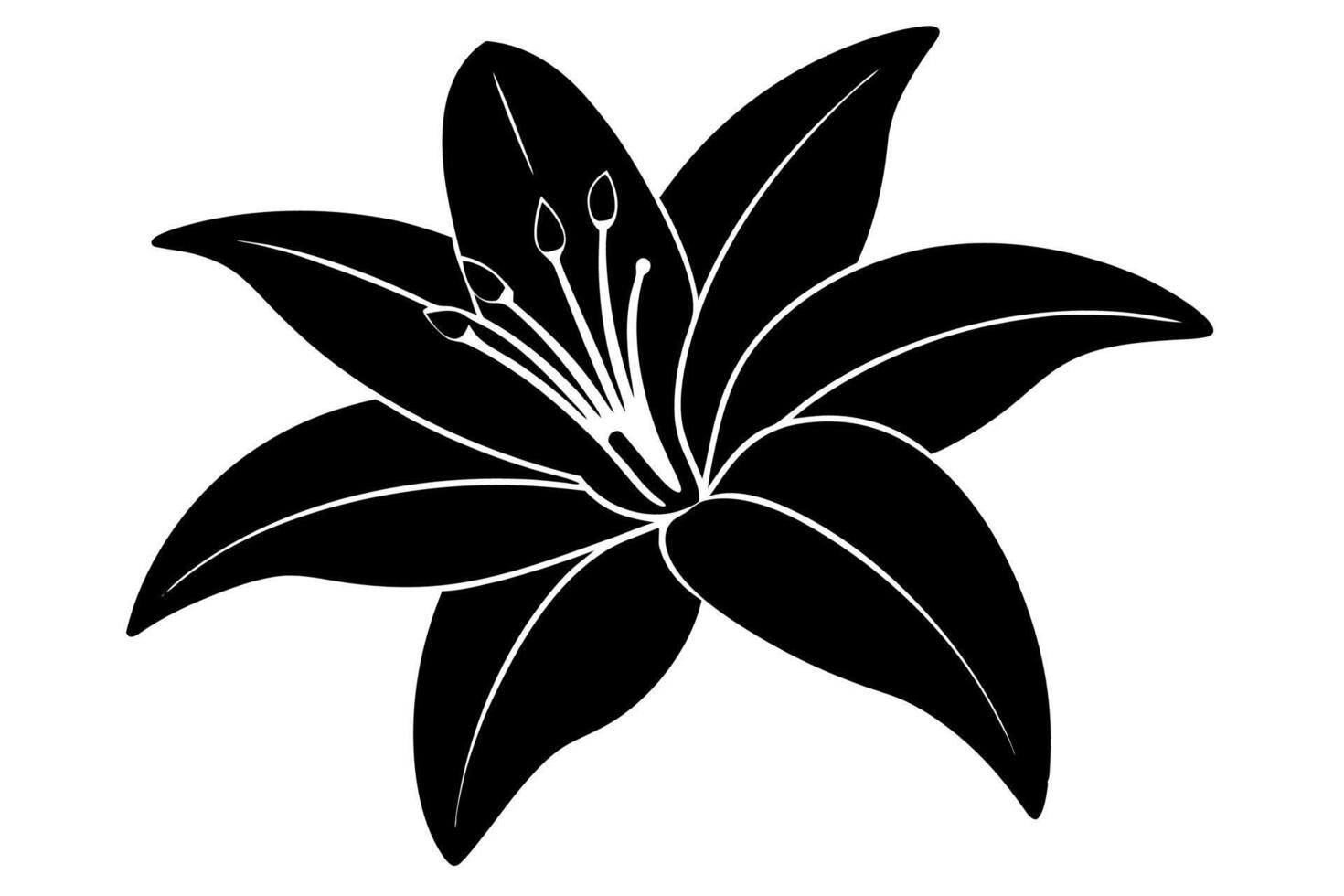 Stunning Lily Silhouette in High Contrast vector