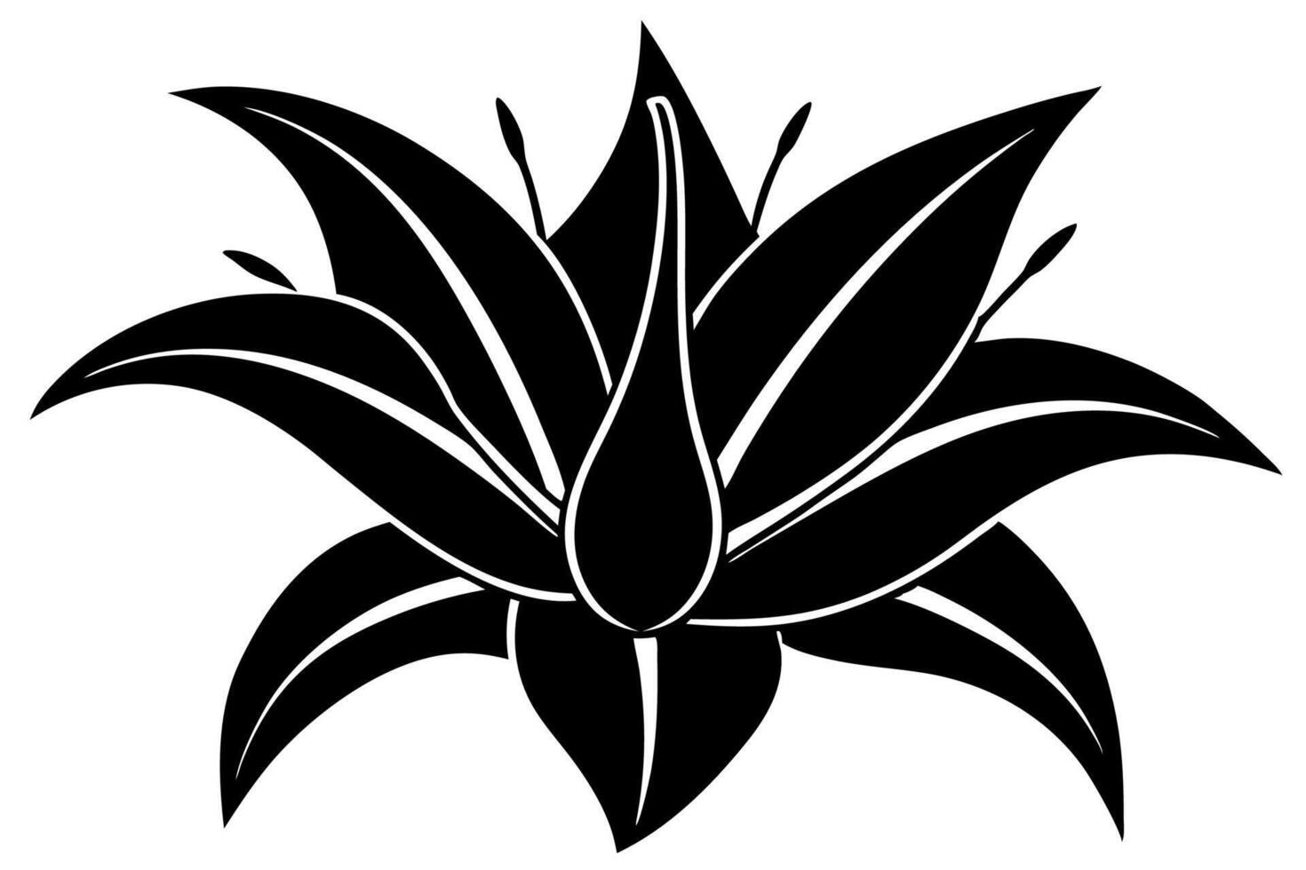 Timeless Black and White Lily Illustration vector