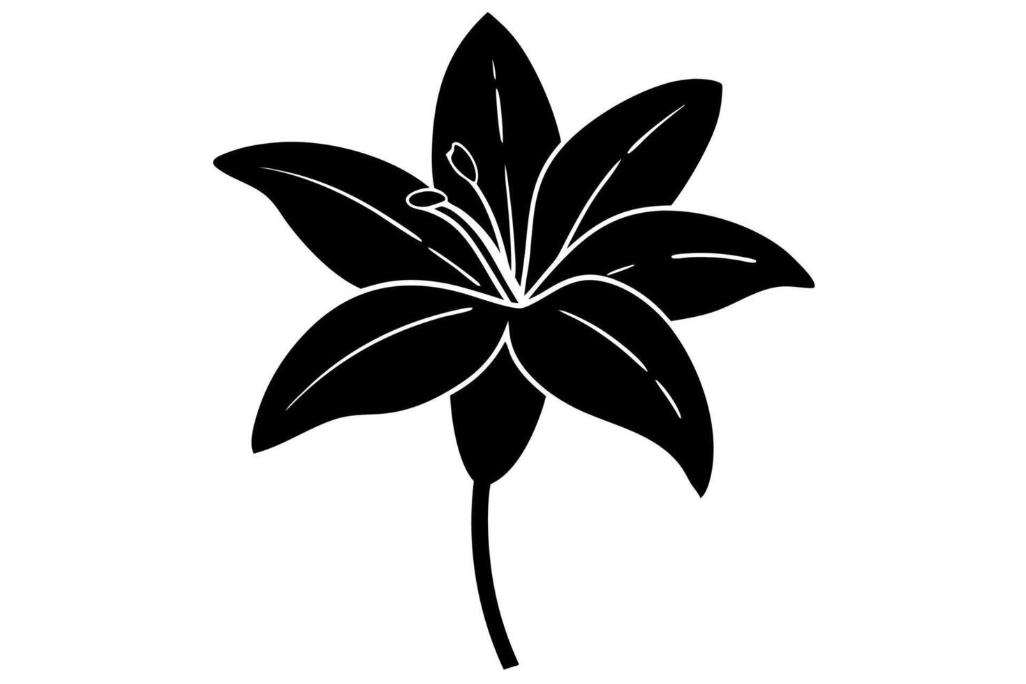 Delicate Lily Shadow Silhouette in Black and White vector