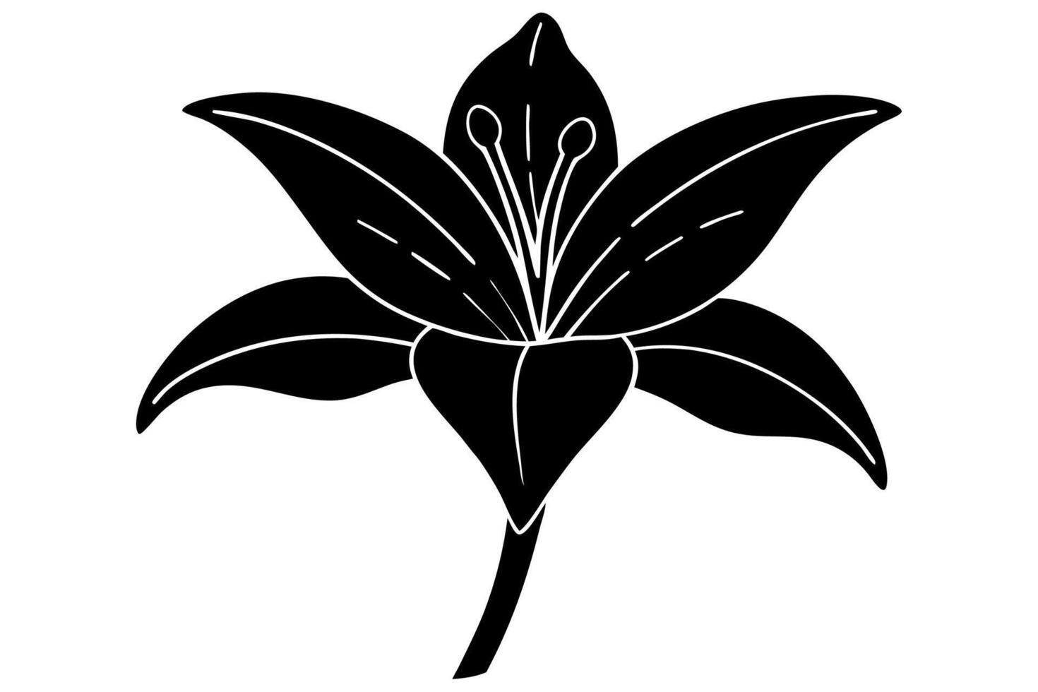 Graceful Black and White Lily Silhouette vector