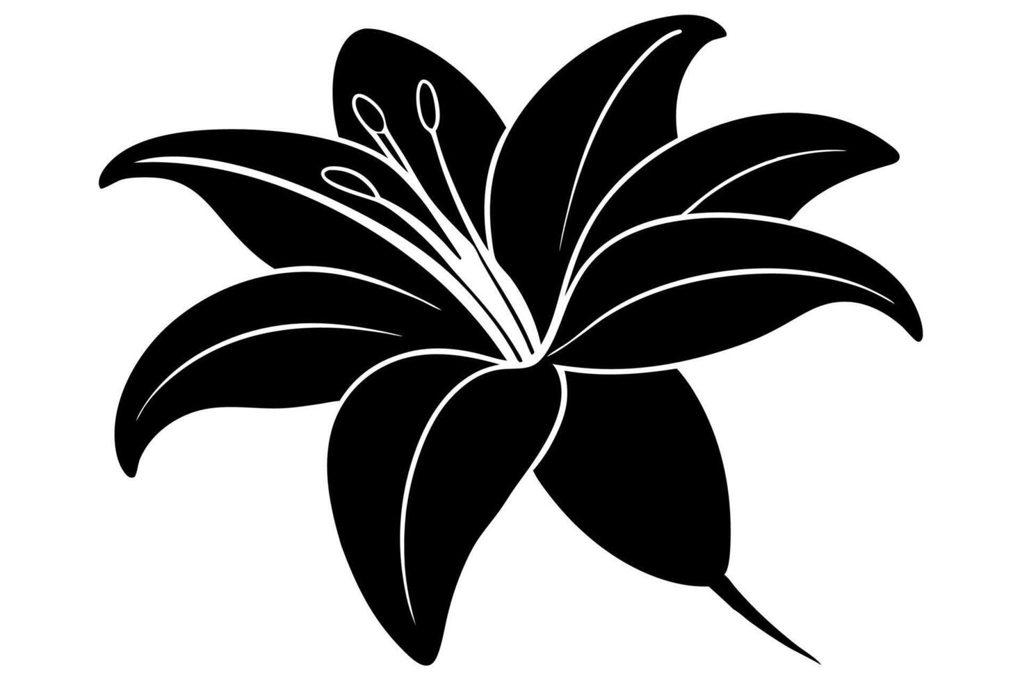 Elegant Black and White Botanical Lily vector