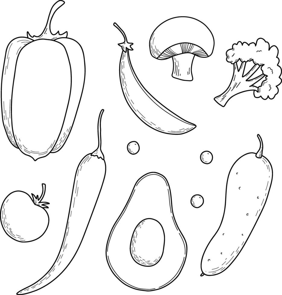 Set of vegetables, vegetarians, nutritionists. Tomatoes, peas, beans, carrots, radishes, peppers, champignons, broccoli, beans. Hand drawing, graphics vector