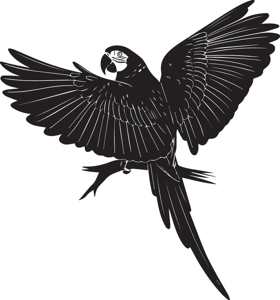 Parrot Bird with white background vector