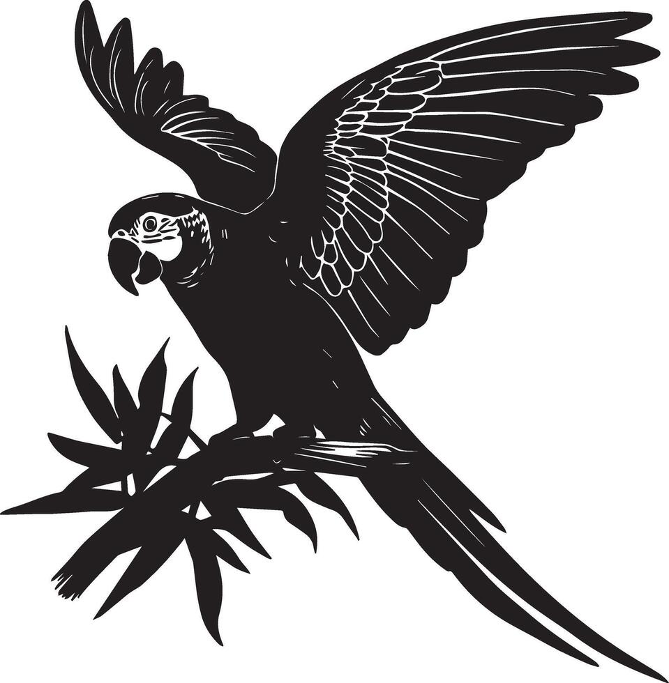 Parrot Bird silhouette on white background vector
