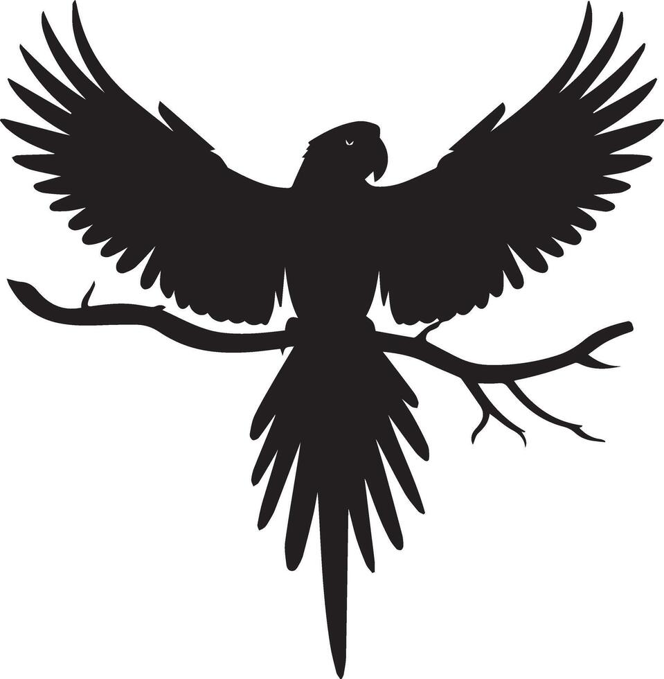 Parrot Bird black isolated on background vector