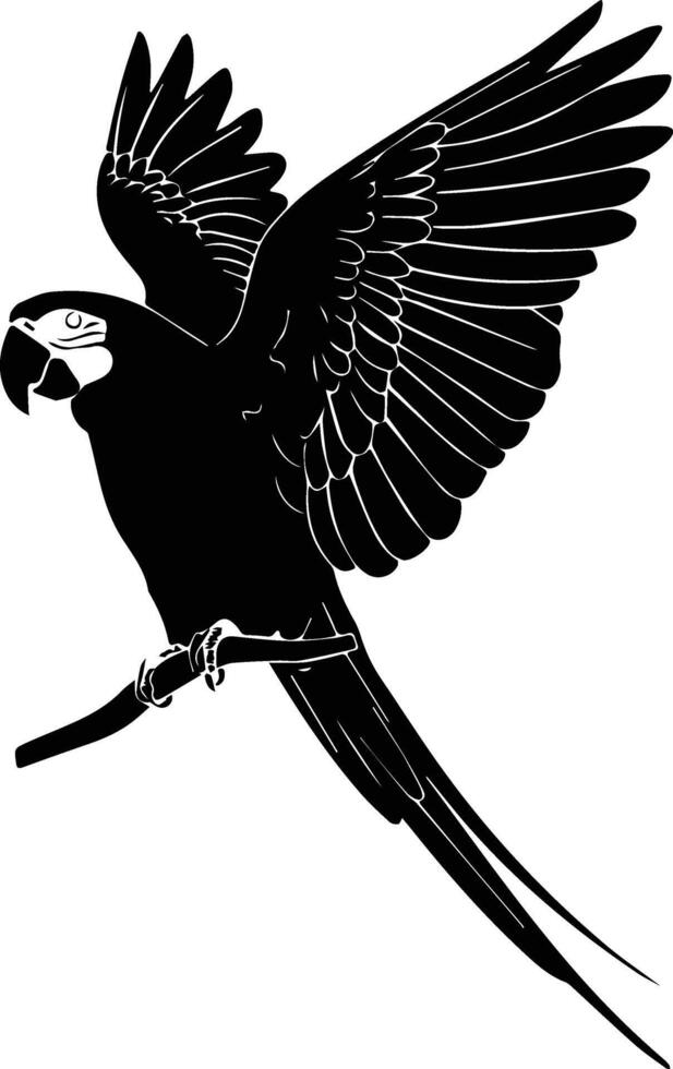 Parrot Bird black isolated on white background vector