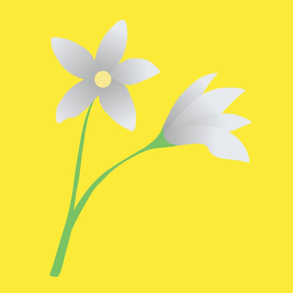 illustration of refreshing white spring flowers vector