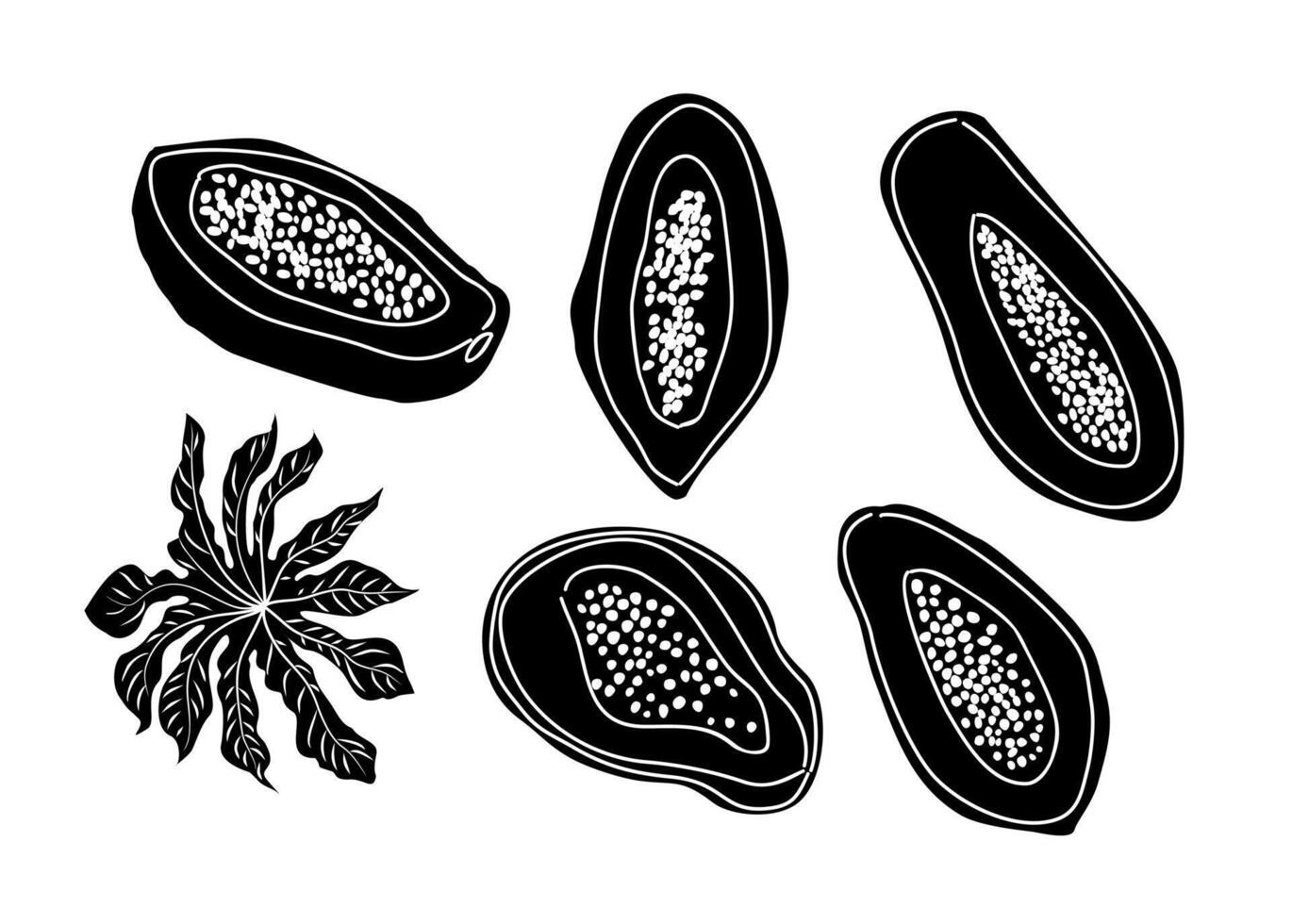 A set of black and white illustrations of papaya vector