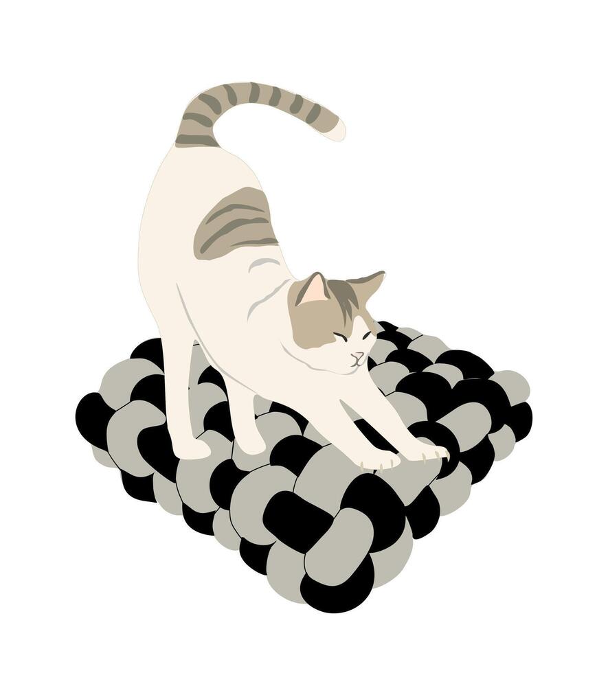 A cat is sitting on a black and white pillow vector