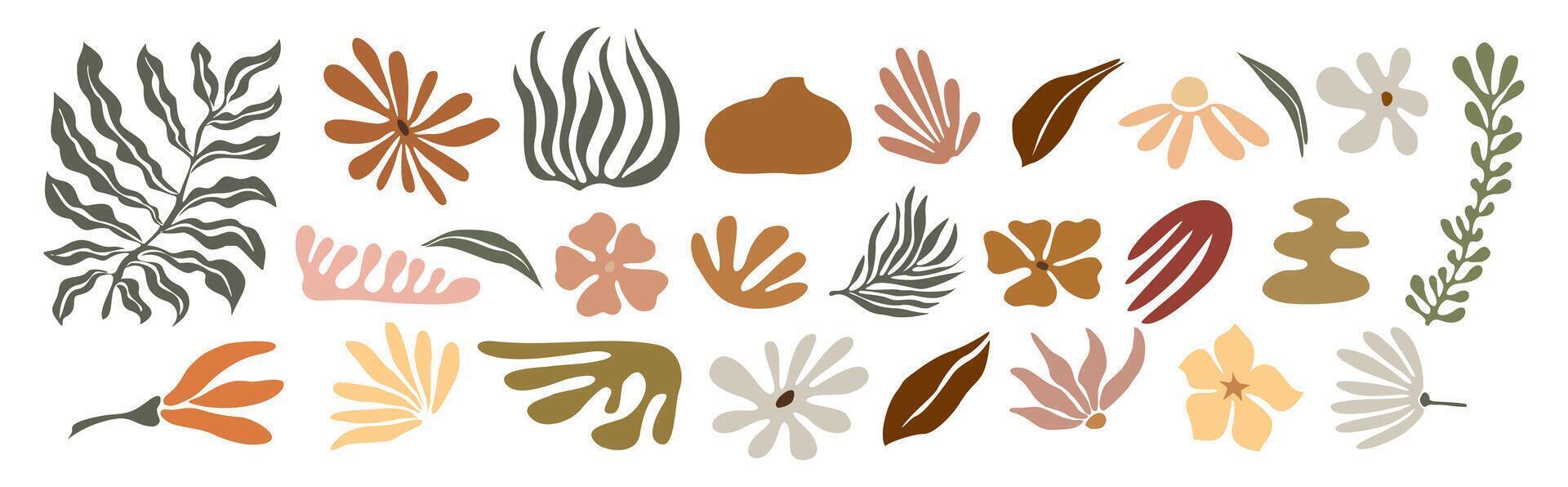 A set of different plants and leaves vector