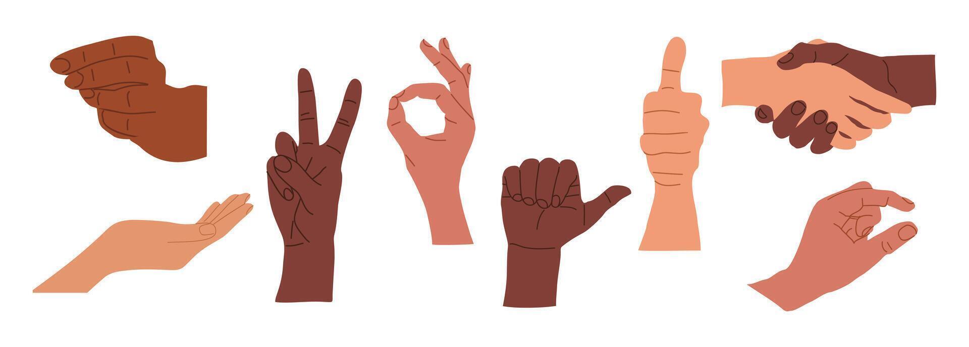 A set of different hands with different gestures vector