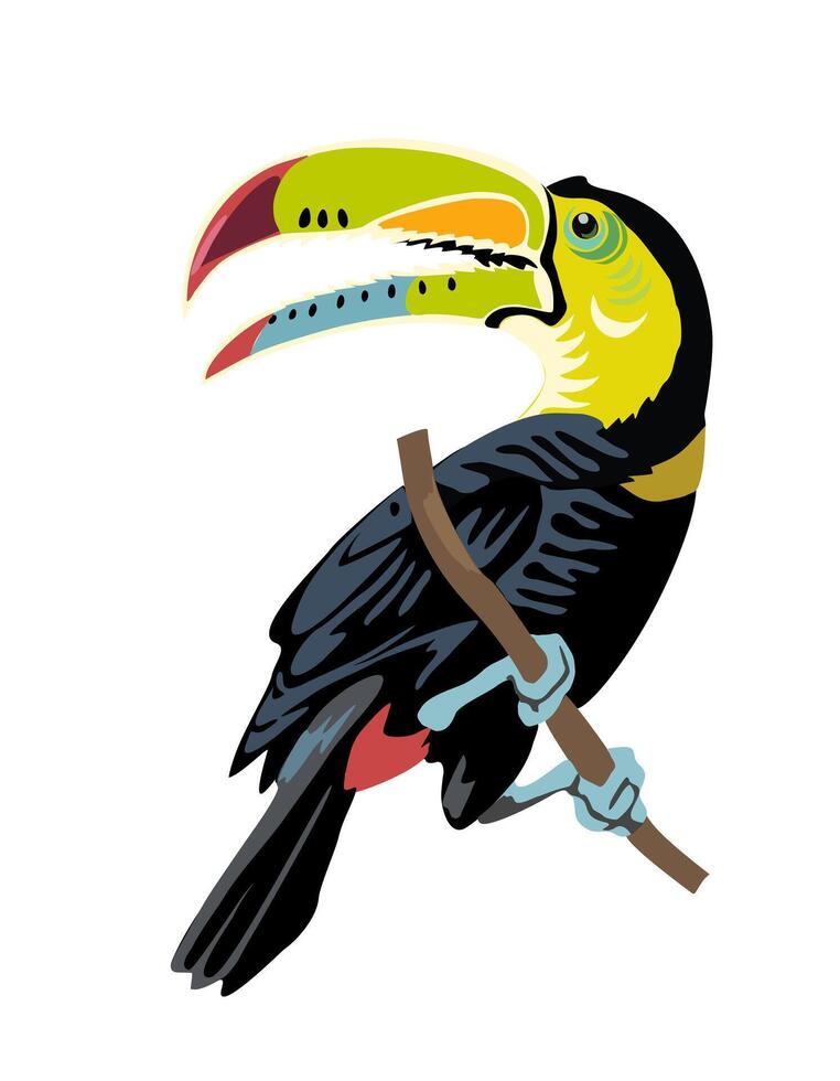 Toucan bird on a branch illustration vector