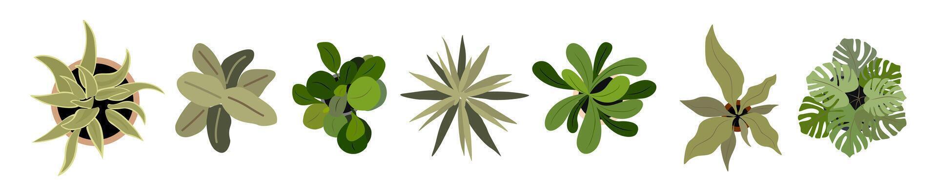 A set of different types of plants on a white background vector