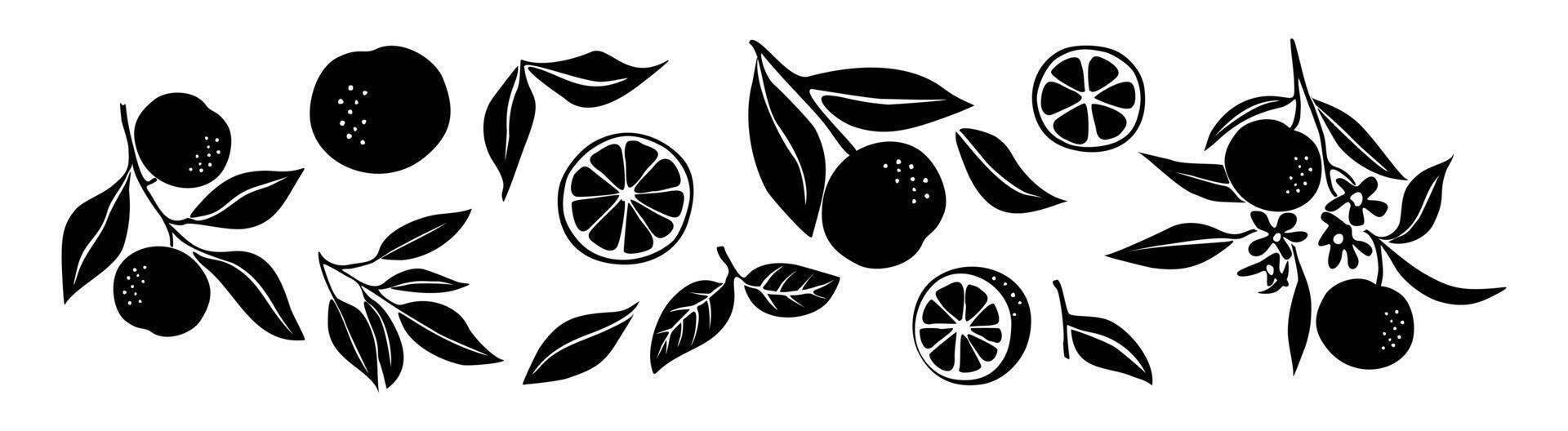 A black and white illustration of fruit and leaves vector