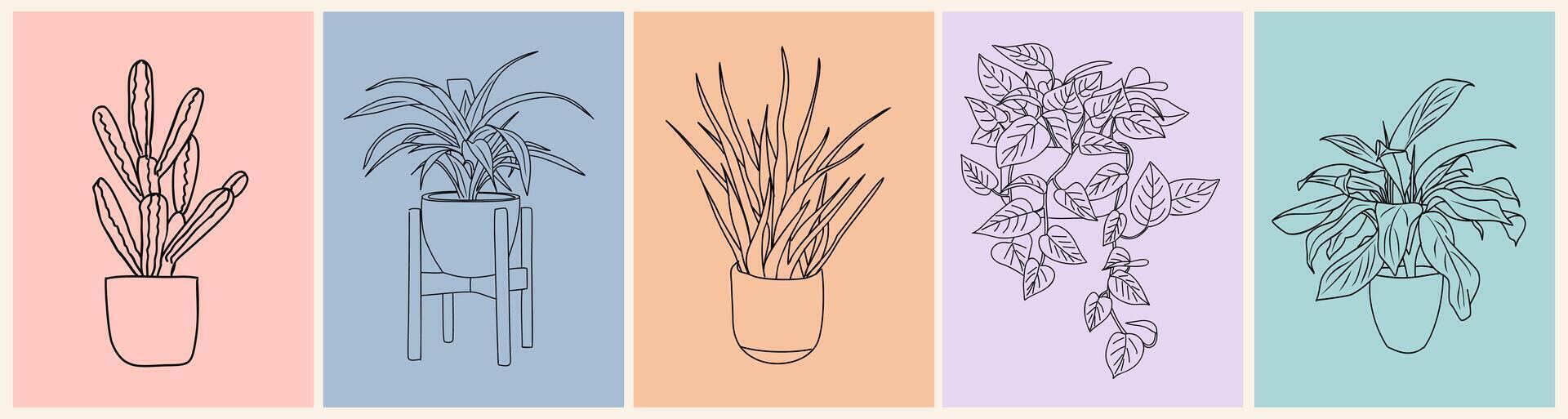 Four different types of plants in pots on different colored backgrounds vector