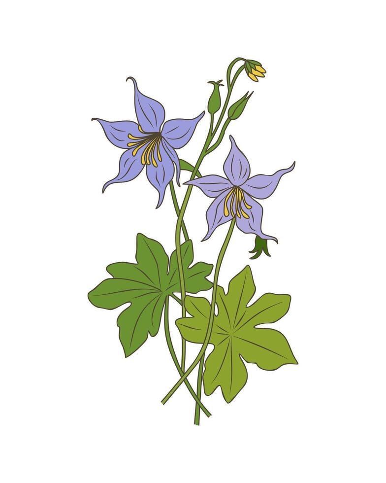 A drawing of a purple flower with green leaves vector