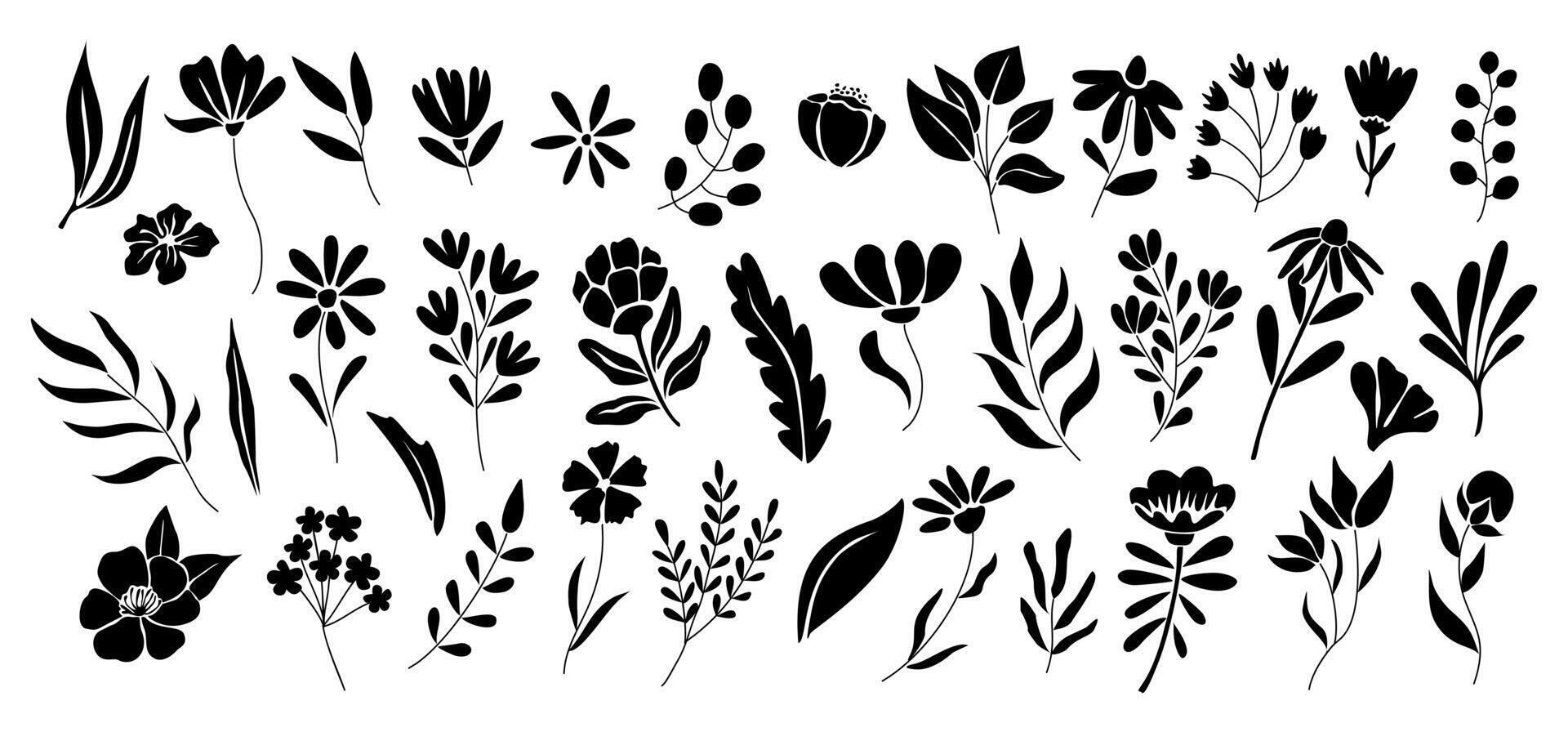 A set of black and white flowers and leaves vector