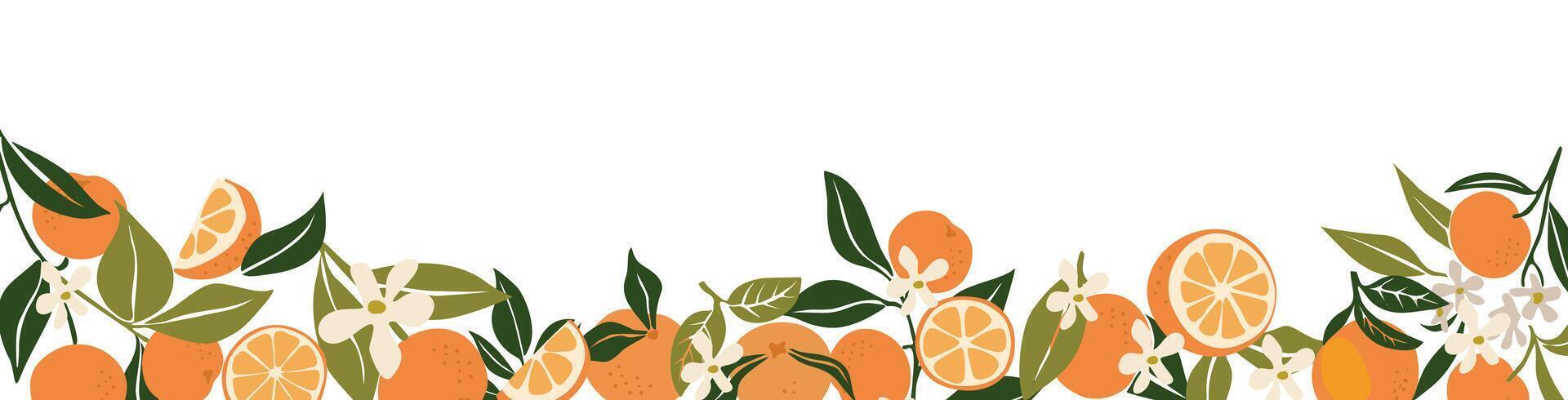 Orange and lemon slices are arranged in a field vector
