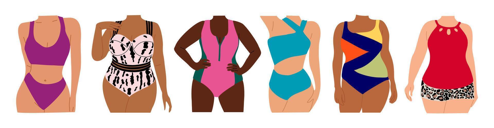 A group of women in swimsuits vector