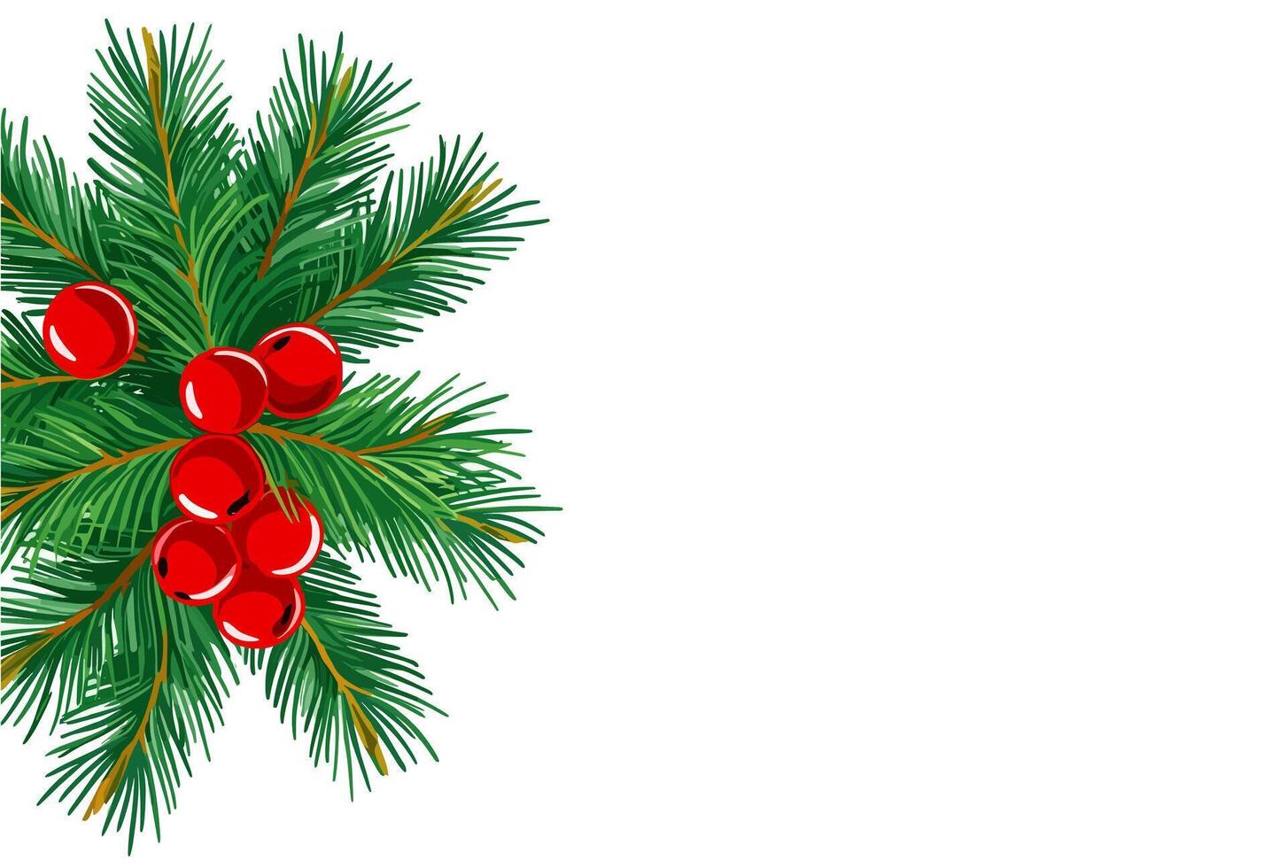 Christmas tree branch with red berries vector