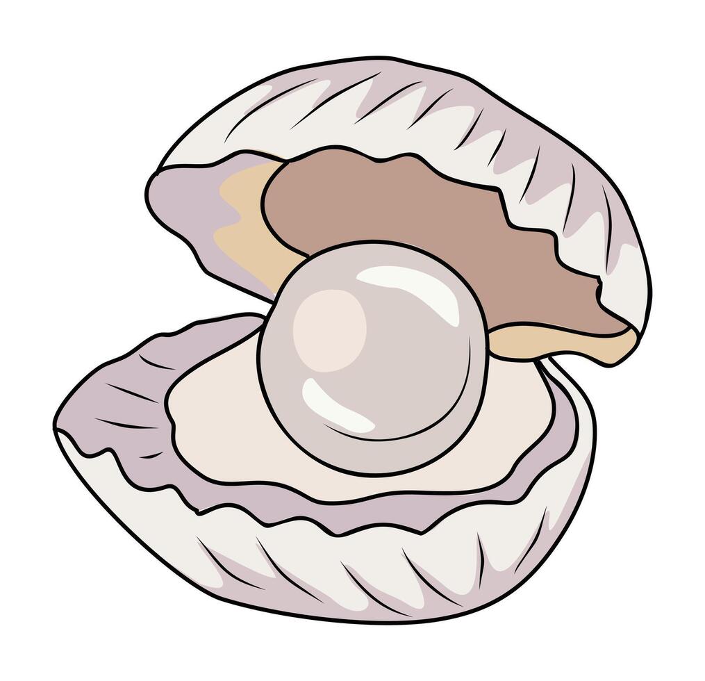 Opened Seashell with pearl inside. Exotic undersea mollusc. Ocean underwater shellfish. Beach aquatic decoration. vector