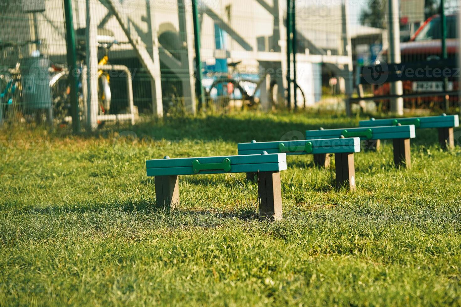 A row of benches in a grassy field photo